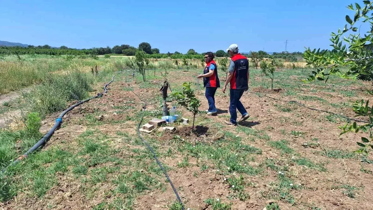 Çanakkale'de Tarımsal Sulama Elektrik Aboneliklerine Denetim Başlatıldı