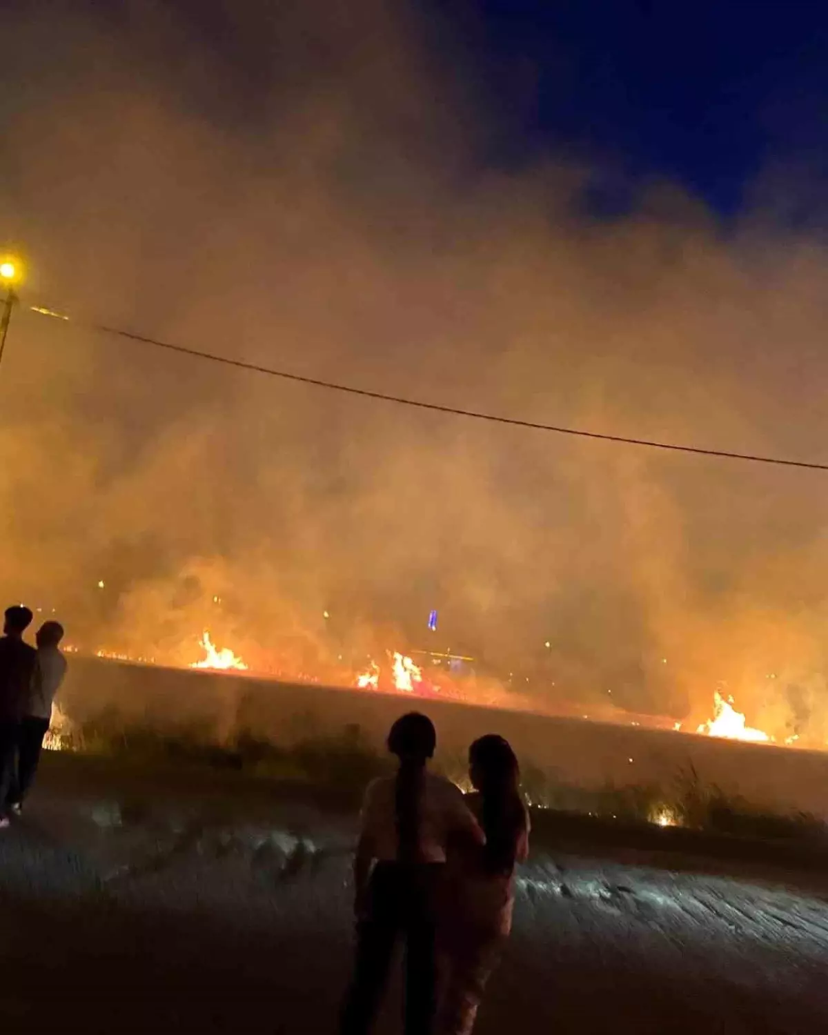 Diyarbakır'da Yangın: 40 Dönüm Buğday Tarlası Ziyan Oldu