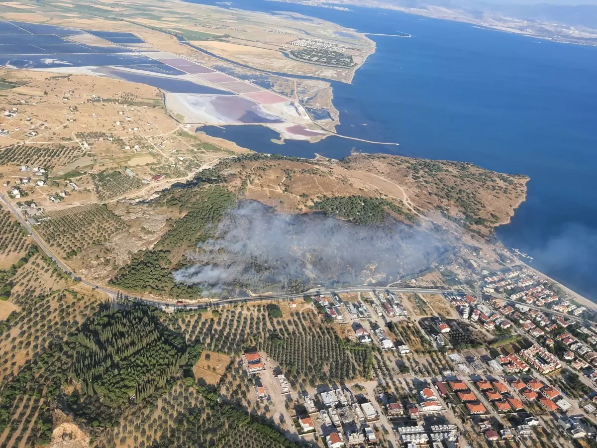 Dikili'de Maki Yangını: Havadan ve Karadan Müdahale Ediliyor