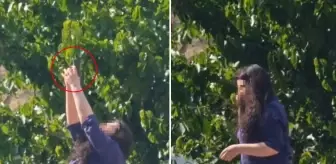 Önce erkek arkadaşının ofisini kurşunladı, sonra intihara kalkıştı
