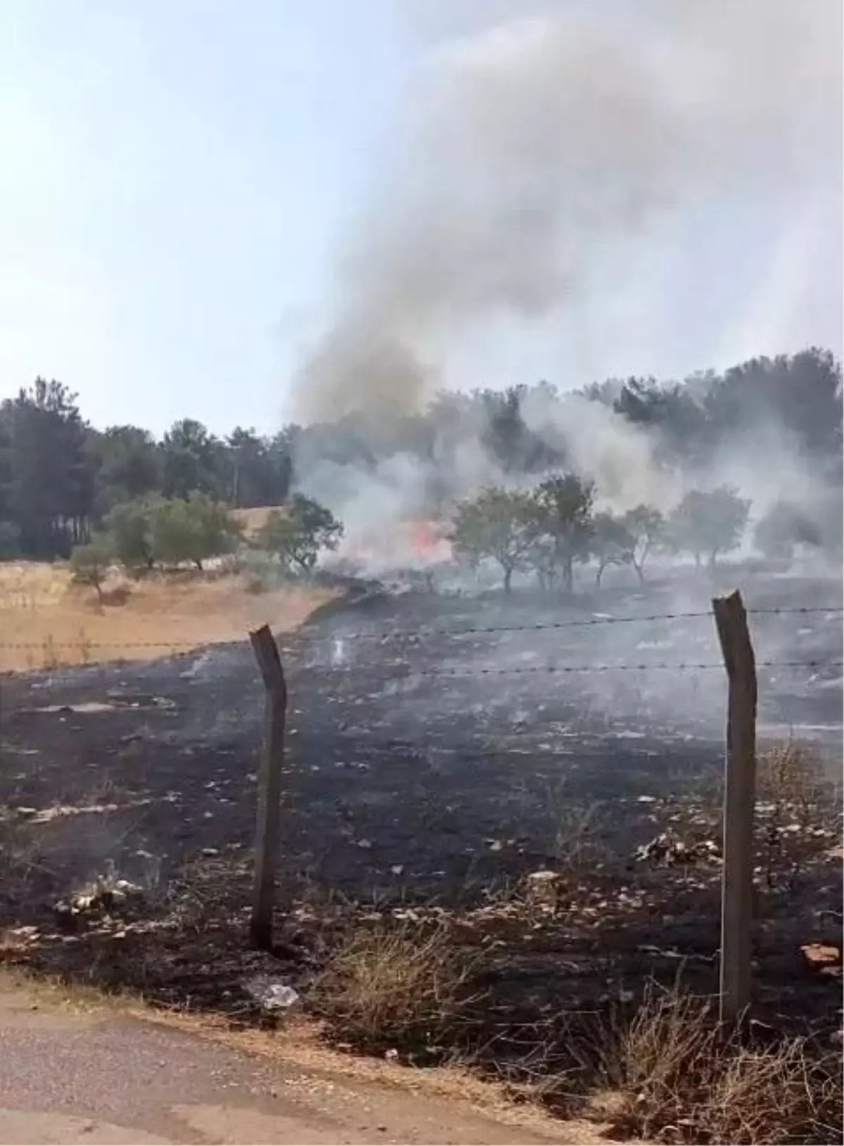 Adıyaman'da Ormanlık Alanda Yangın Kontrol Altına Alındı