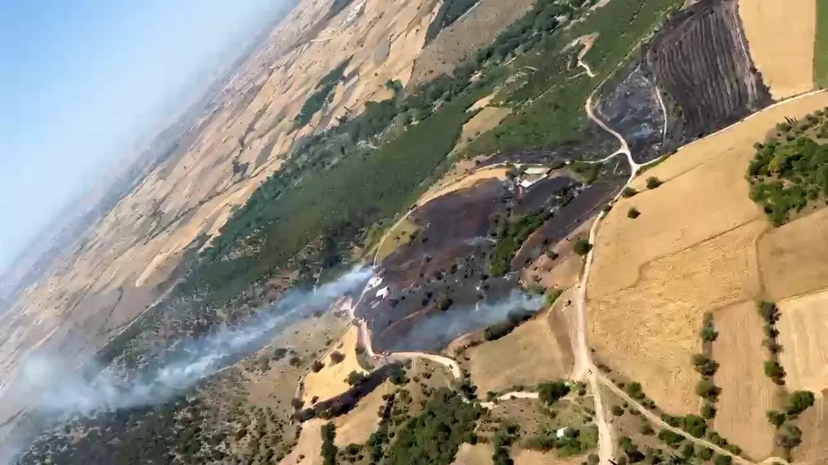 Balıkesir'de Orman Yangınına Hızla Müdahale Ediliyor