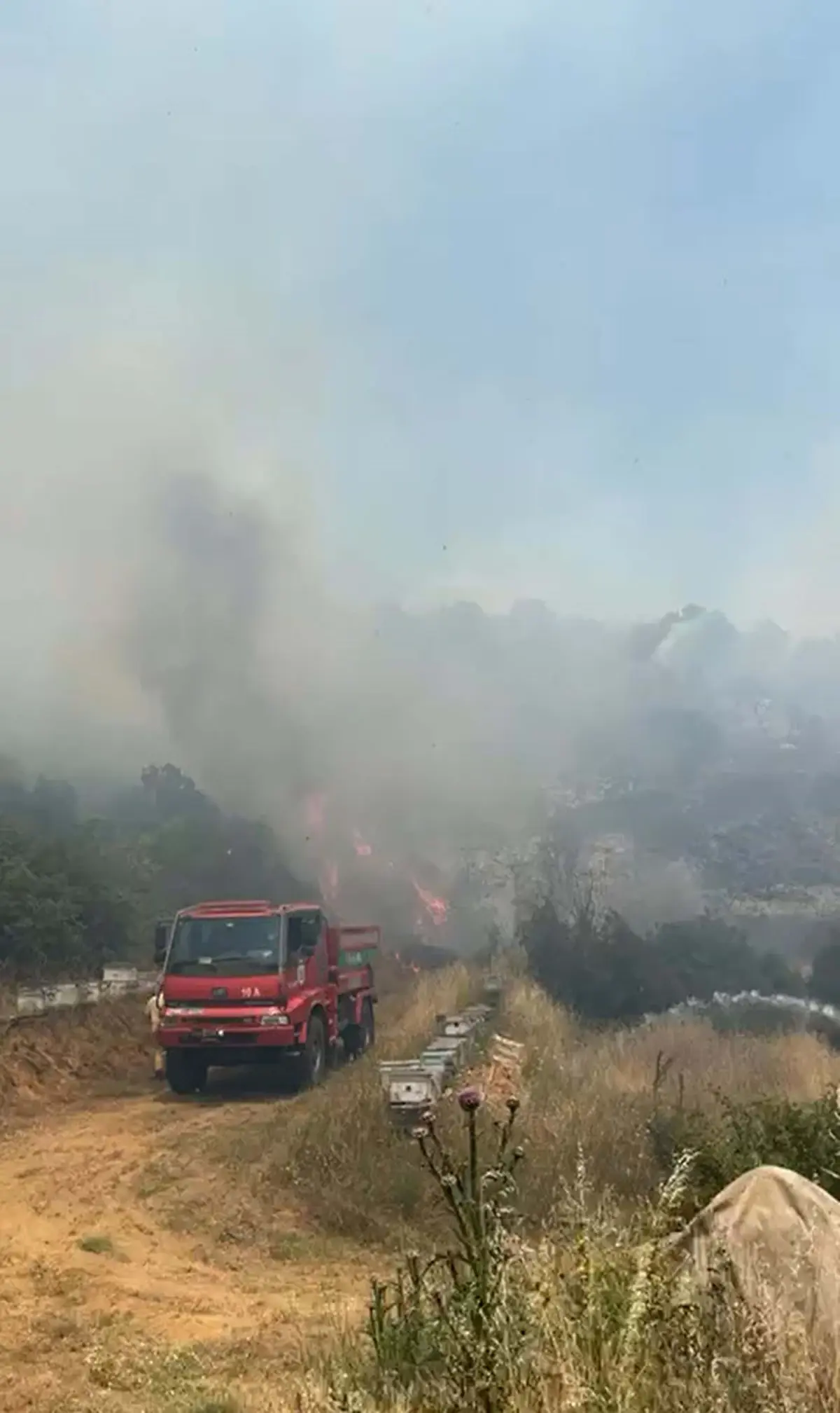 Karesi'de Orman Yangını Çıktı