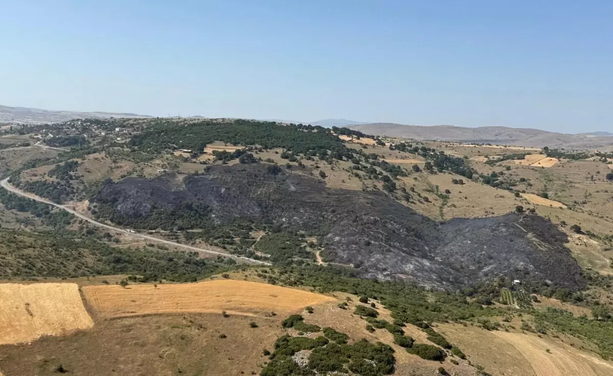 Karesi'deki Orman Yangını 5 Saatte Kontrol Altına Alındı