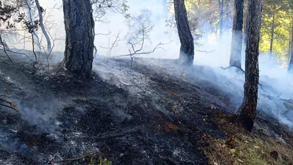 Bolu'nun Mudurnu İlçesinde Orman Yangını Kontrol Altına Alındı