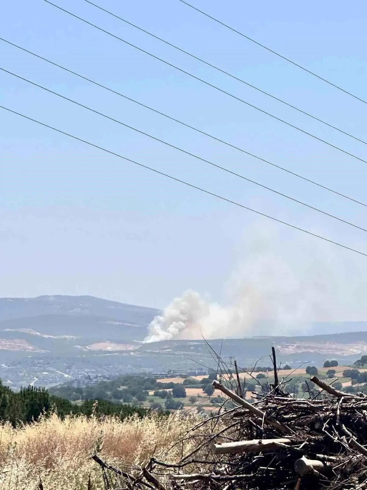 Bursa'da Orman Yangını: Karadan ve Havadan Müdahale