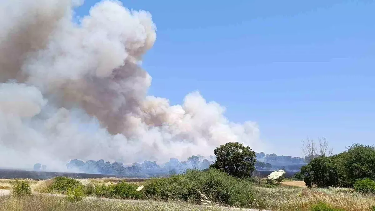 Çanakkale'de Tarım Arazisinde Yangın Çıktı