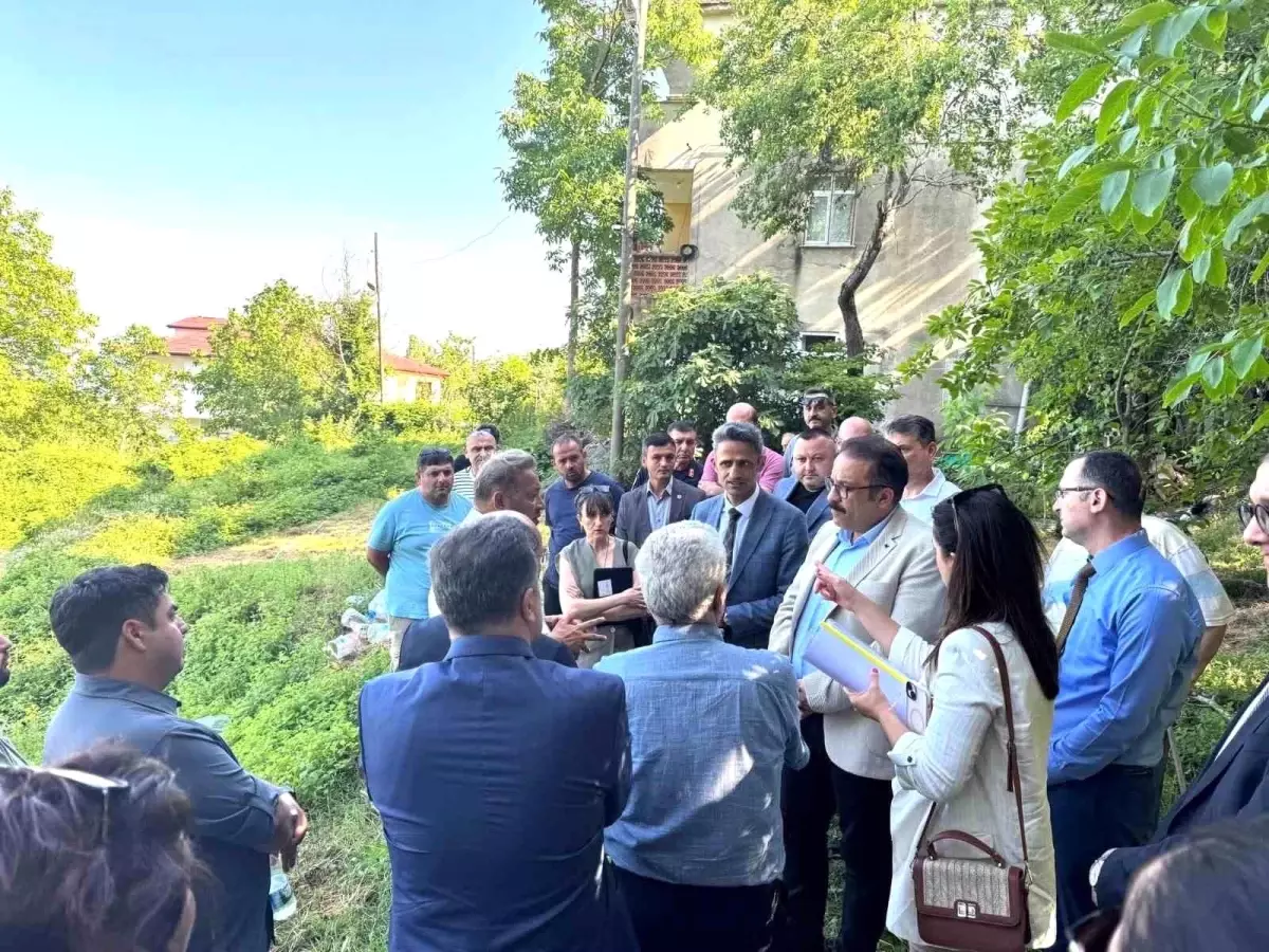 Kadıoğlu Mozaikleri'nde Önemli Ziyaret ve Değerlendirme Programı