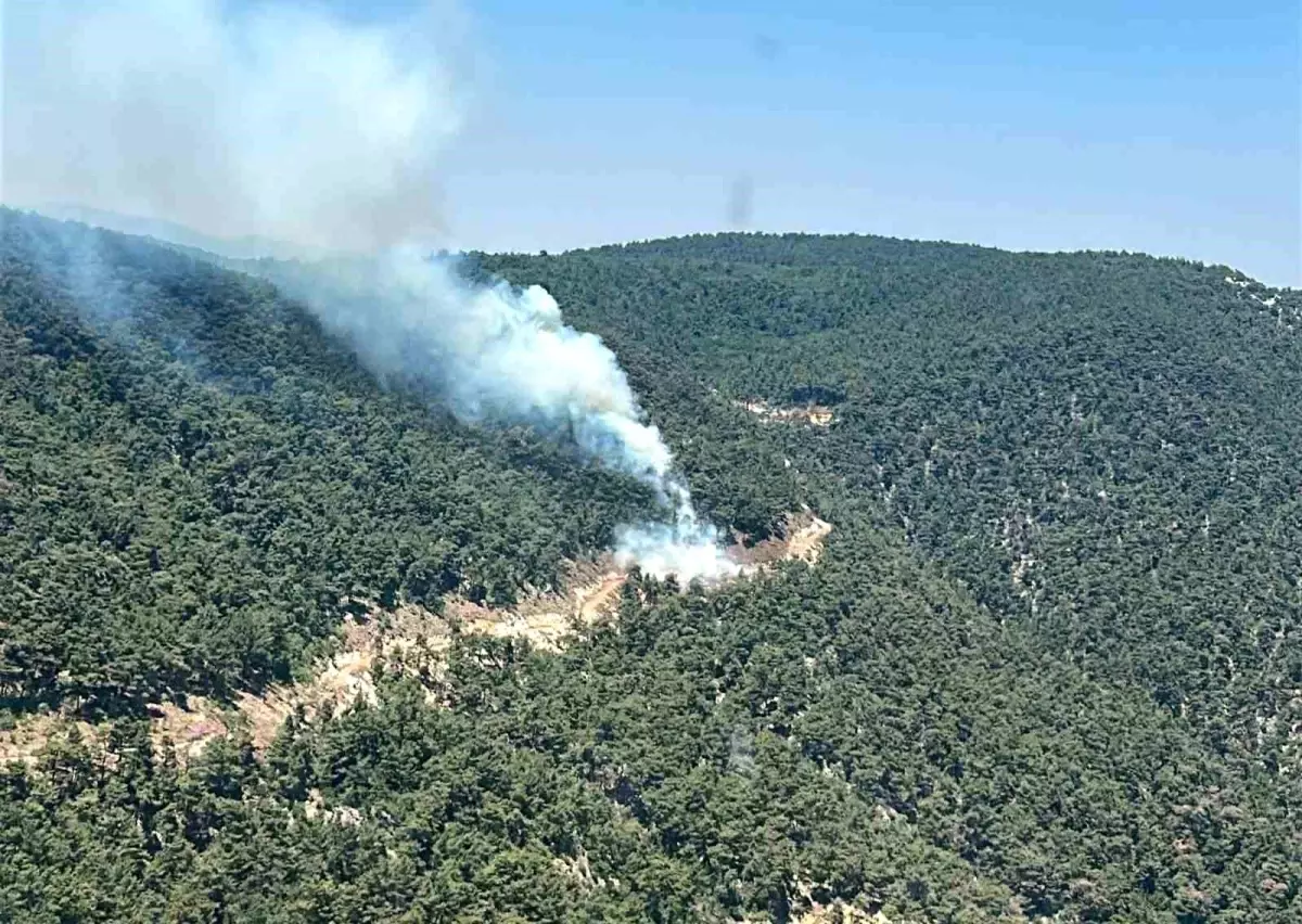 Manisa'da Orman Yangınına Hızlı Müdahale