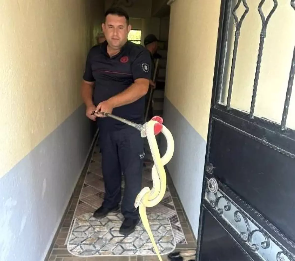 Gönen'de Apartman Dairesine Yılan Girdi
