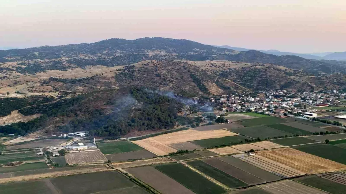 Aydın'da Fıstık Çamları Ormanında Yangın Kontrol Altına Alındı