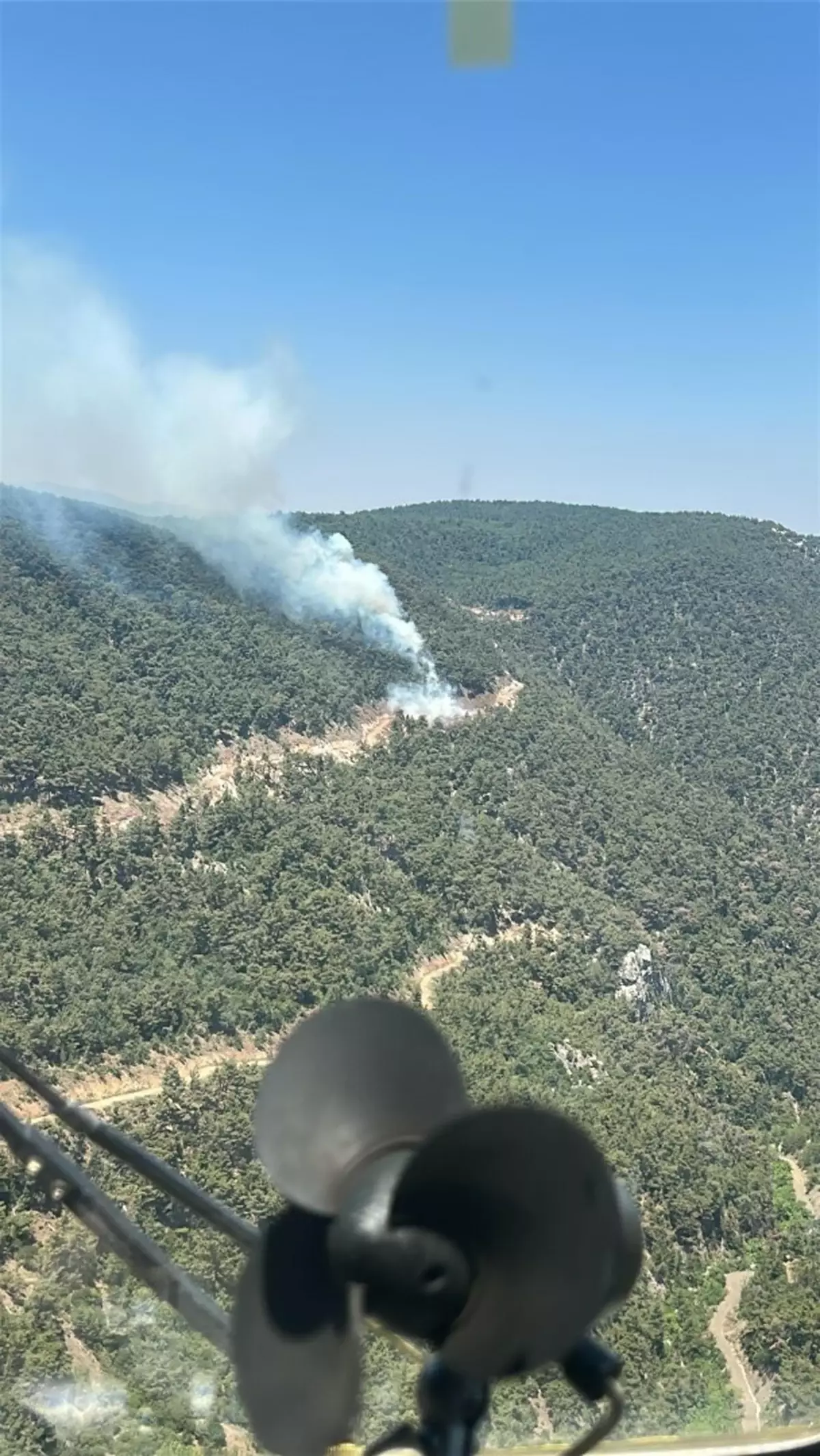 Manisa'da Orman Yangını Kontrol Altına Alındı