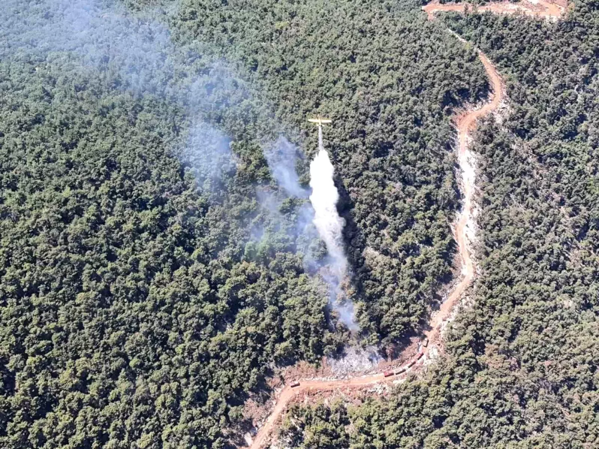 Manisa'da Orman Yangını Kontrol Altına Alındı