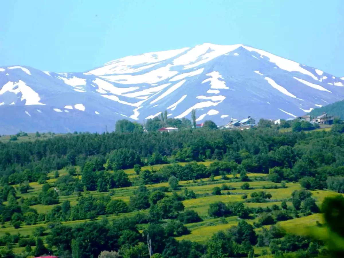 Posof'un Doğal Güzellikleri ve Organik Üretimi