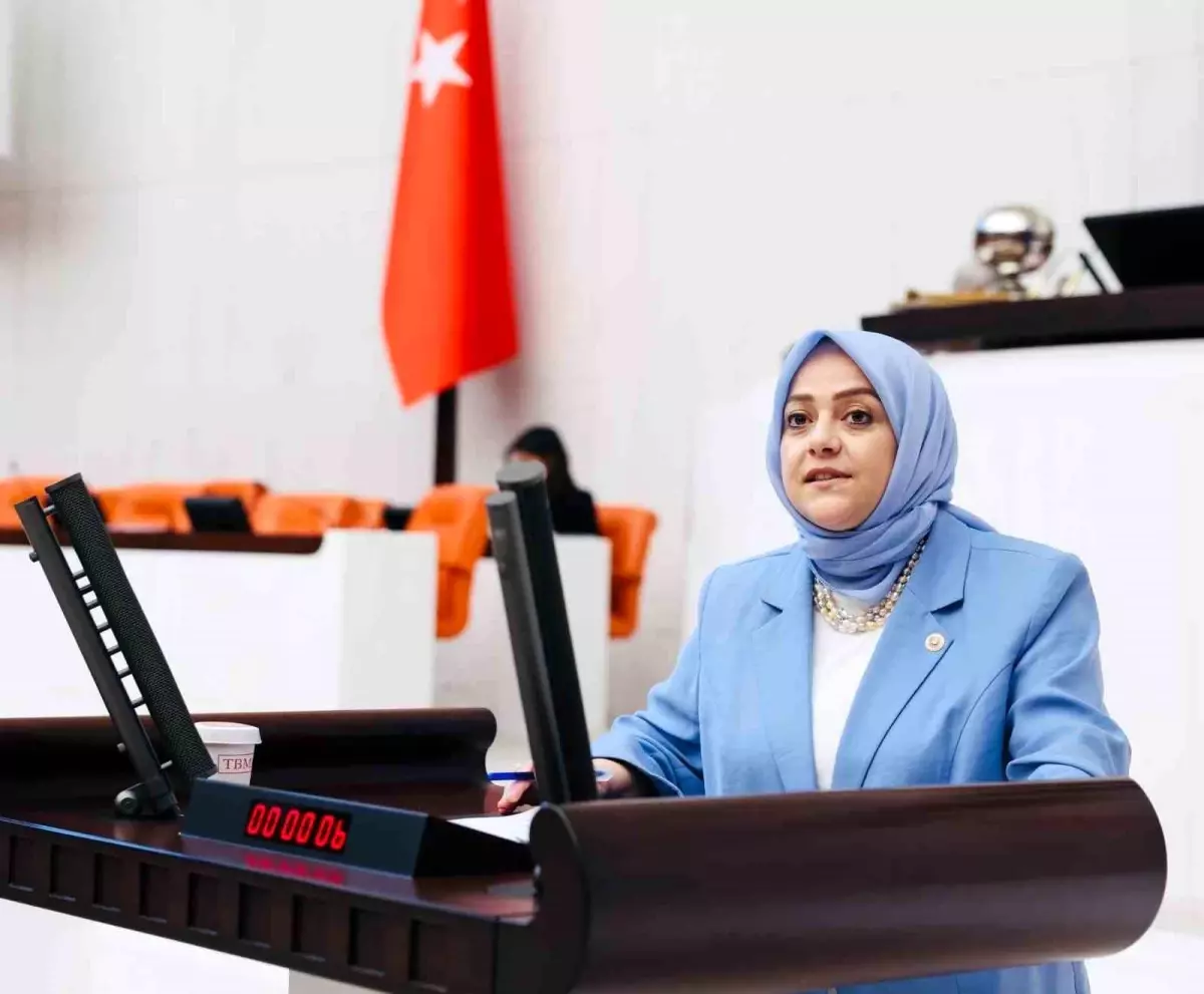 Gelecek Partisi Milletvekili, Çifte Vatandaşların İsrail Ordusuna Katılmasını Eleştirdi