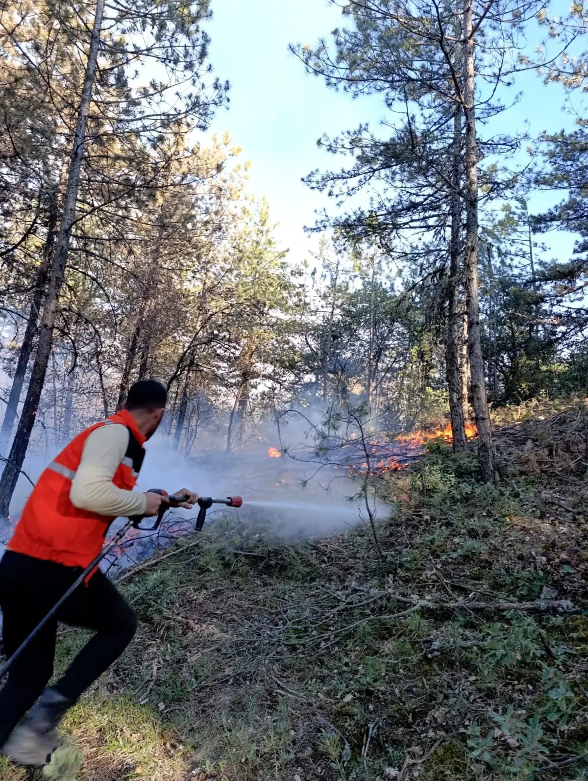 Bolu'da Orman Yangını Kontrol Altına Alındı