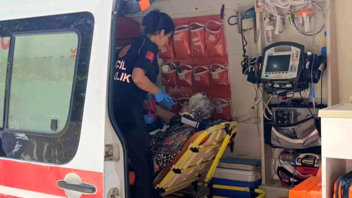 Antalya'da Yaya Geçidinde Kamyonet Çarpması: 71 Yaşındaki Kadın Yaralandı