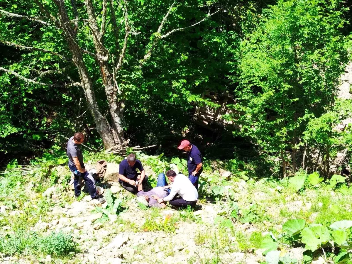 Zonguldak'ta Yayla Yolunda Otomobil Devrildi: 3 Yaralı