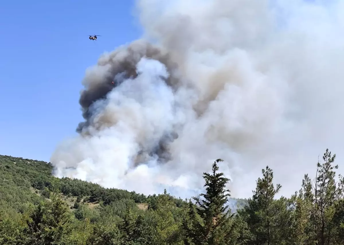 Balıkesir'de Orman Yangınına Hava ve Karadan Müdahale
