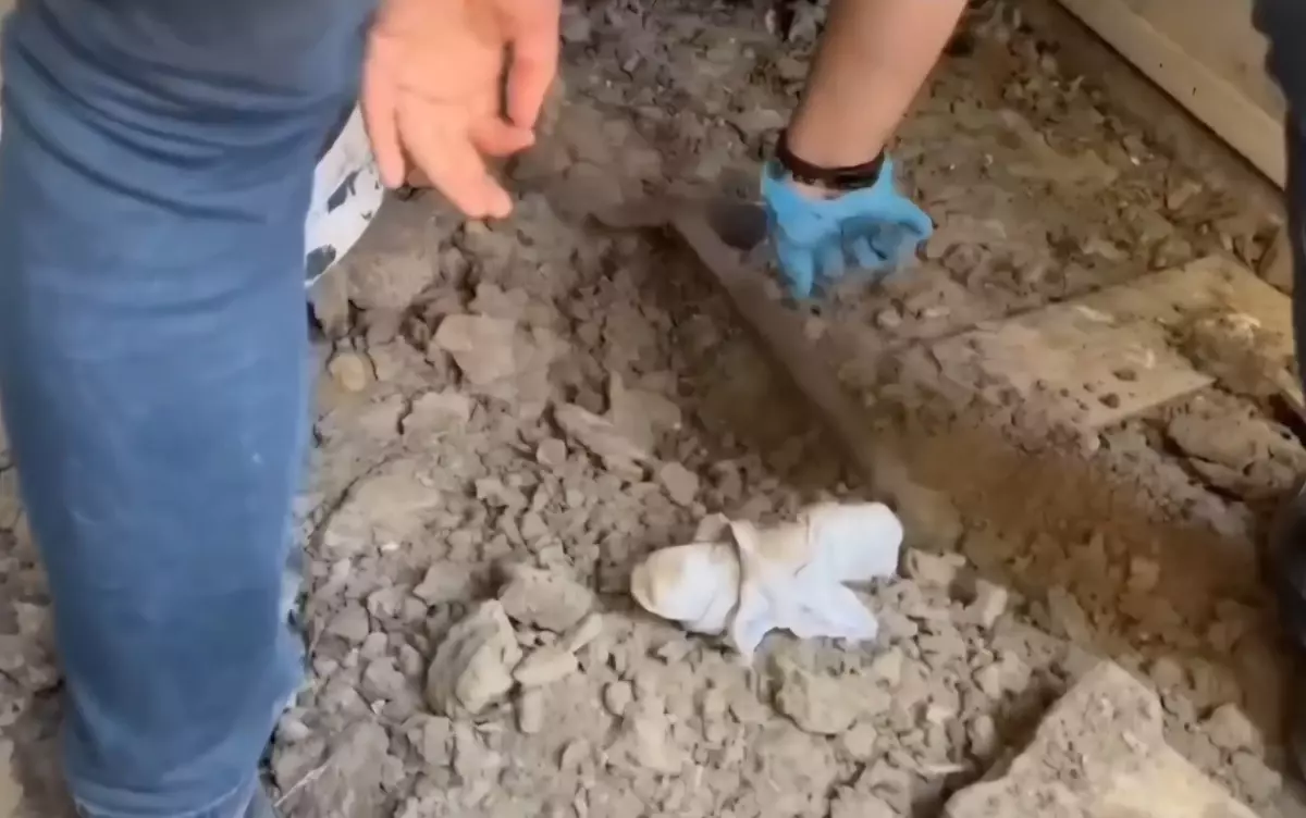 İçki Sohbeti Kanlı Bitti: Arkadaşını Vuran Şahıs Tutuklandı