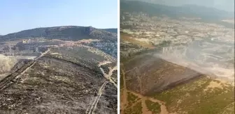 İzmir'de korkutan orman yangını!