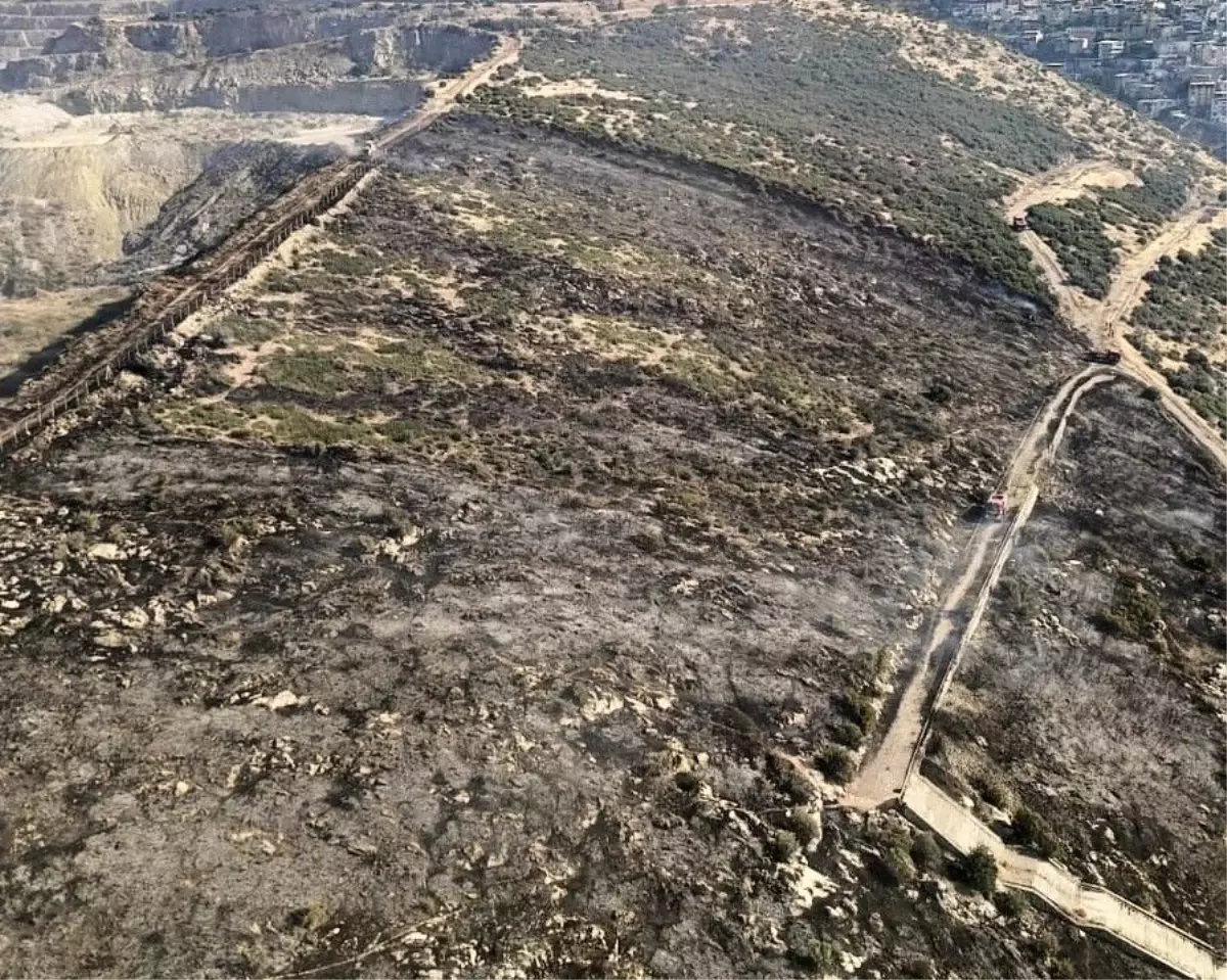 İzmir'de Makilik Alanda Yangın Kontrol Altına Alındı