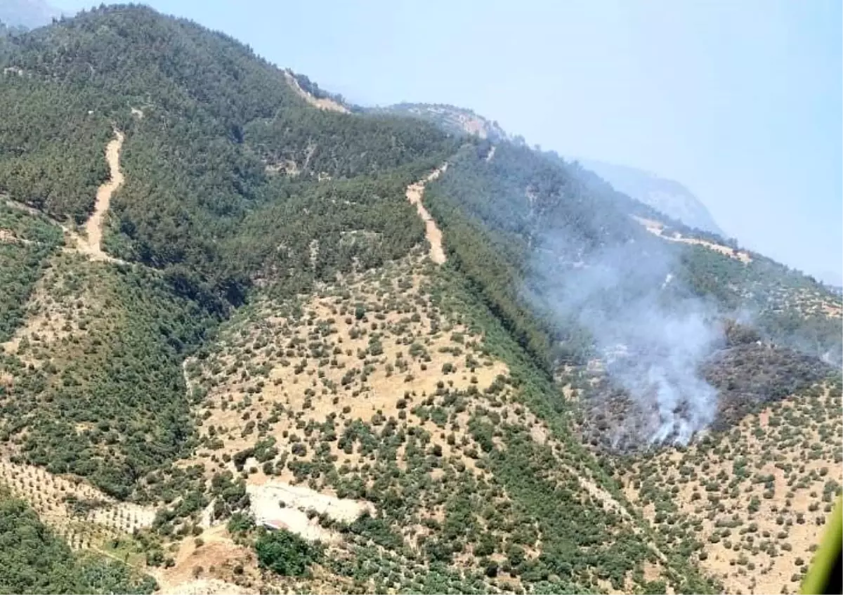 Manisa'da Orman Yangınına Hızlı Müdahale Başladı