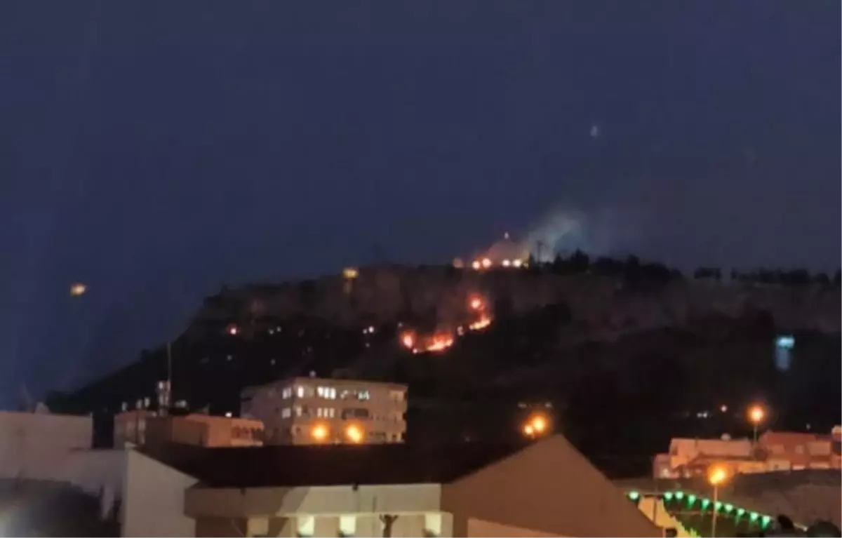 Mardin'deki örtü yangını 3 saatte kontrol altına alındı