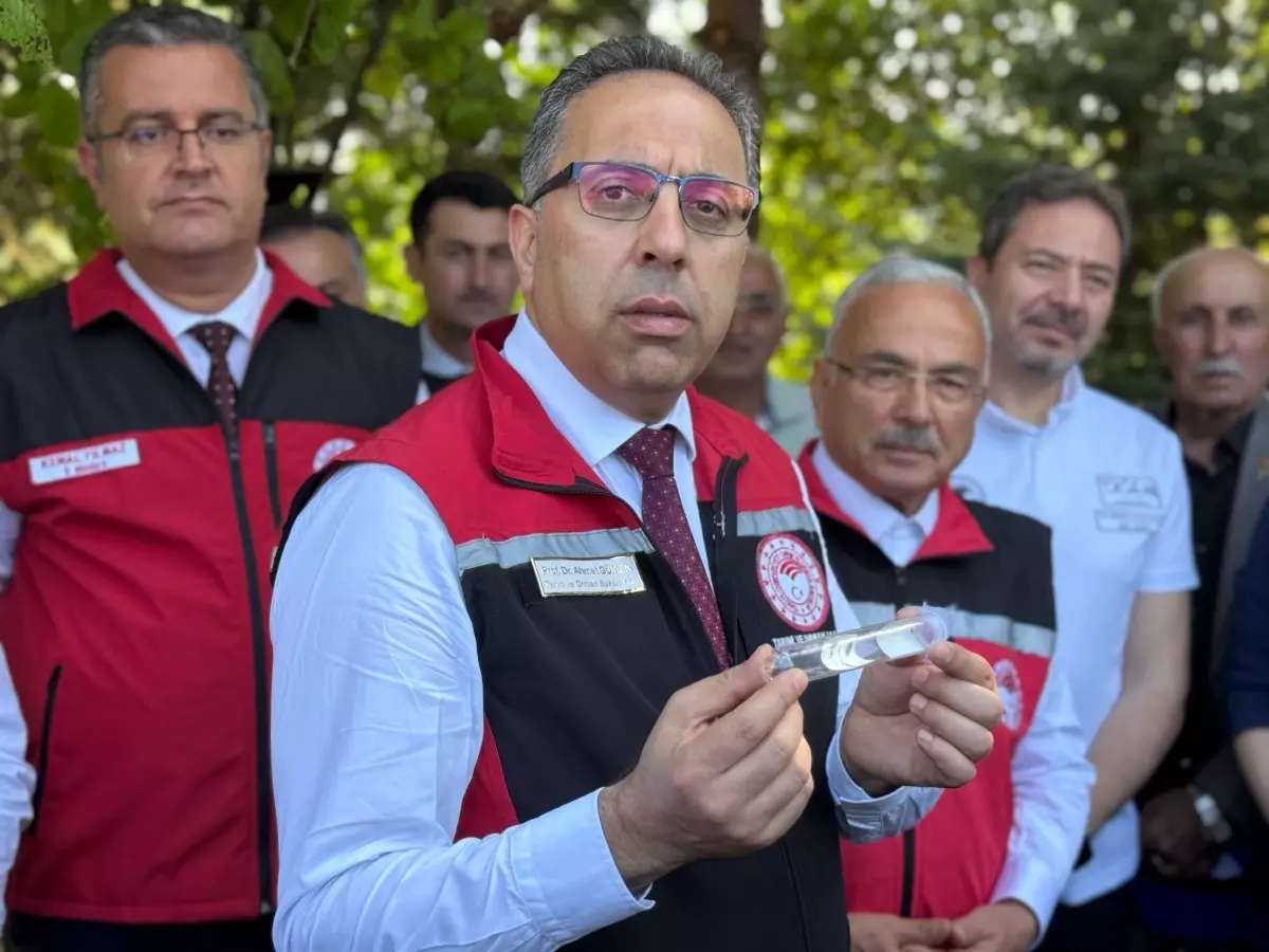 Ordu'da Kahverengi Kokarca ile Mücadele İçin 245 Bin Samuray Arısı Salınıyor