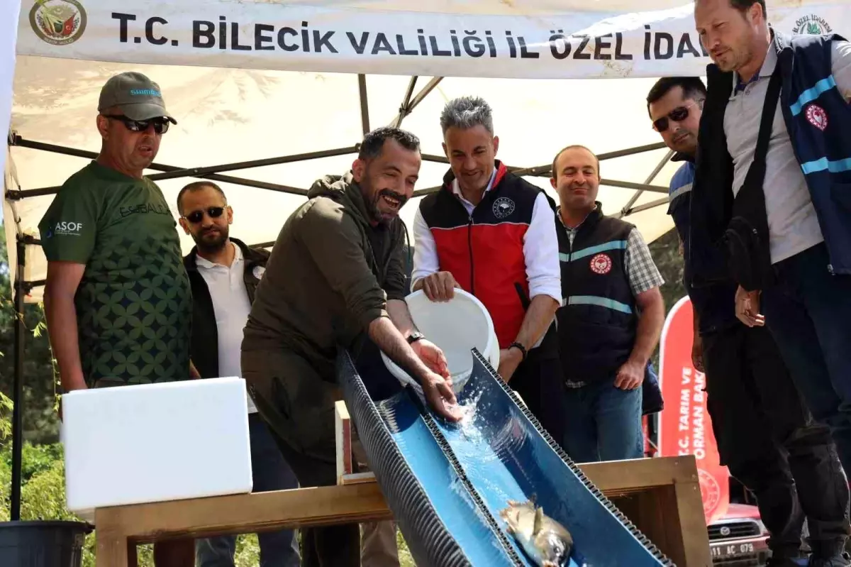 Bilecik'te Anaç Sazan Balığı Salımı Gerçekleşti