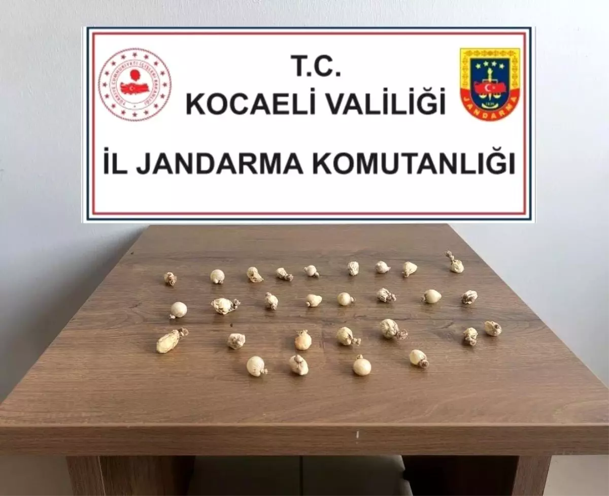 Kocaeli'nde Midesinden 28 Kapsül Uyuşturucu Çıkan Şahıs Hastaneye Sevk Edildi