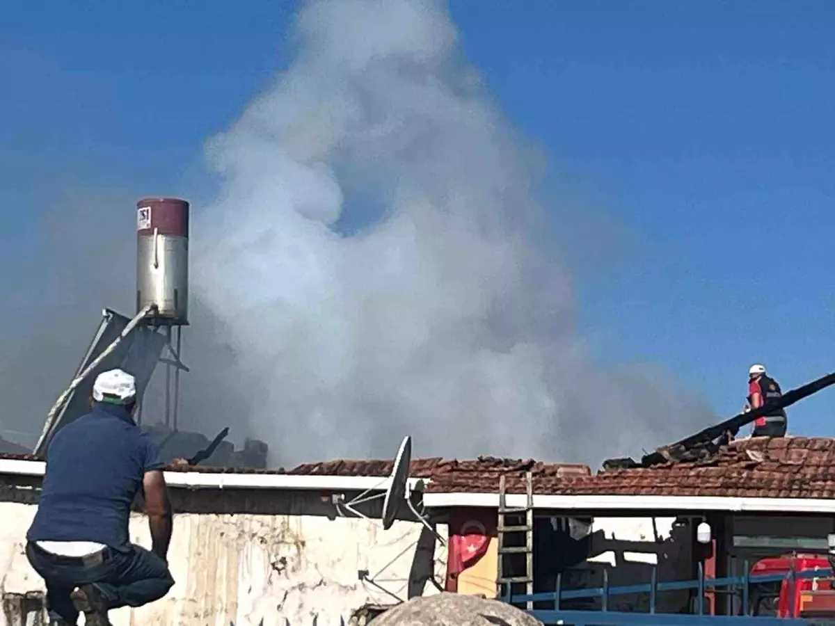Yozgat'ta Ahır Yangını: Elektrik Kontağından Çıkan Yangın Kontrol Altına Alındı