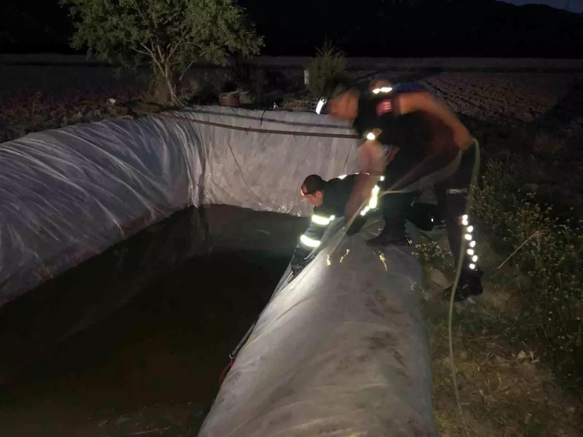 Uğurlu Köyünde Sokak Köpeği Kuyudan Kurtarıldı