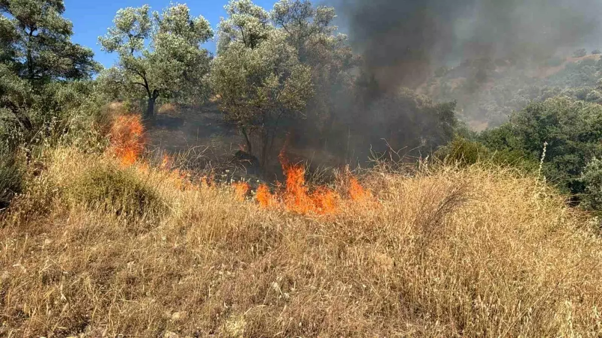 Aydın'da Zirai Alanda Yangın Çıktı