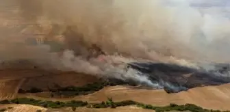 Balıkesir'deki orman yangınlarına ilişkin soruşturmada 5 gözaltı