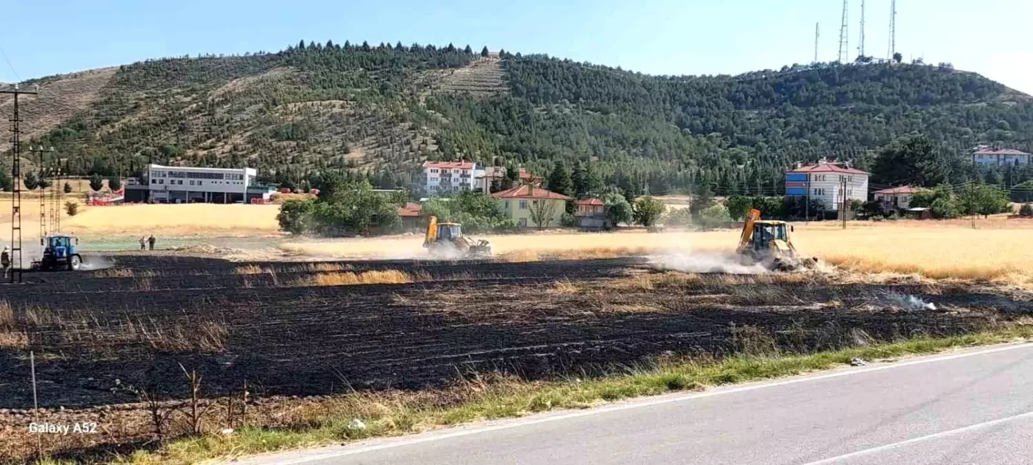 Beypazarı'nda Yangın: 10 Dönüm Tarla Kül Oldu, Çok Sayıda Tavuk Telef Oldu