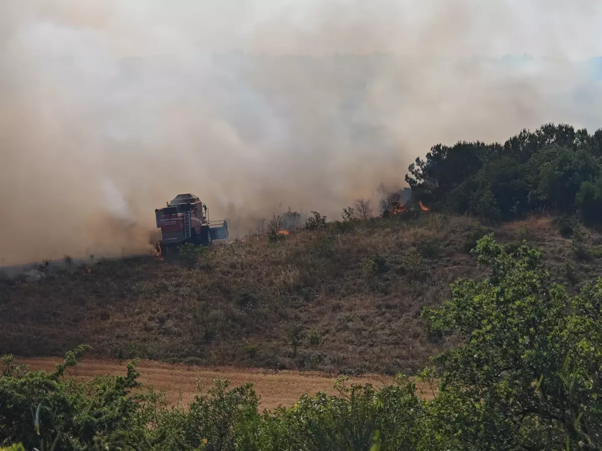 Bursa Yenişehir'de Orman Yangını: Havadan ve Karadan Müdahale Başladı