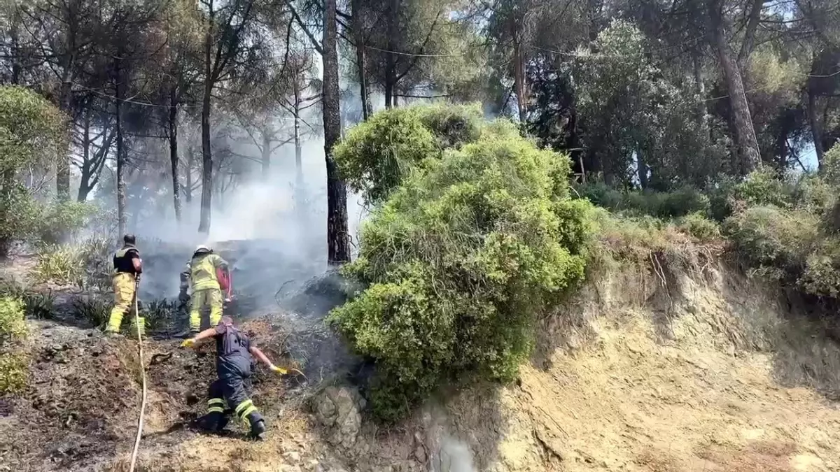 Bursa'da Çamlık Alanda Yangın Kontrol Altına Alındı