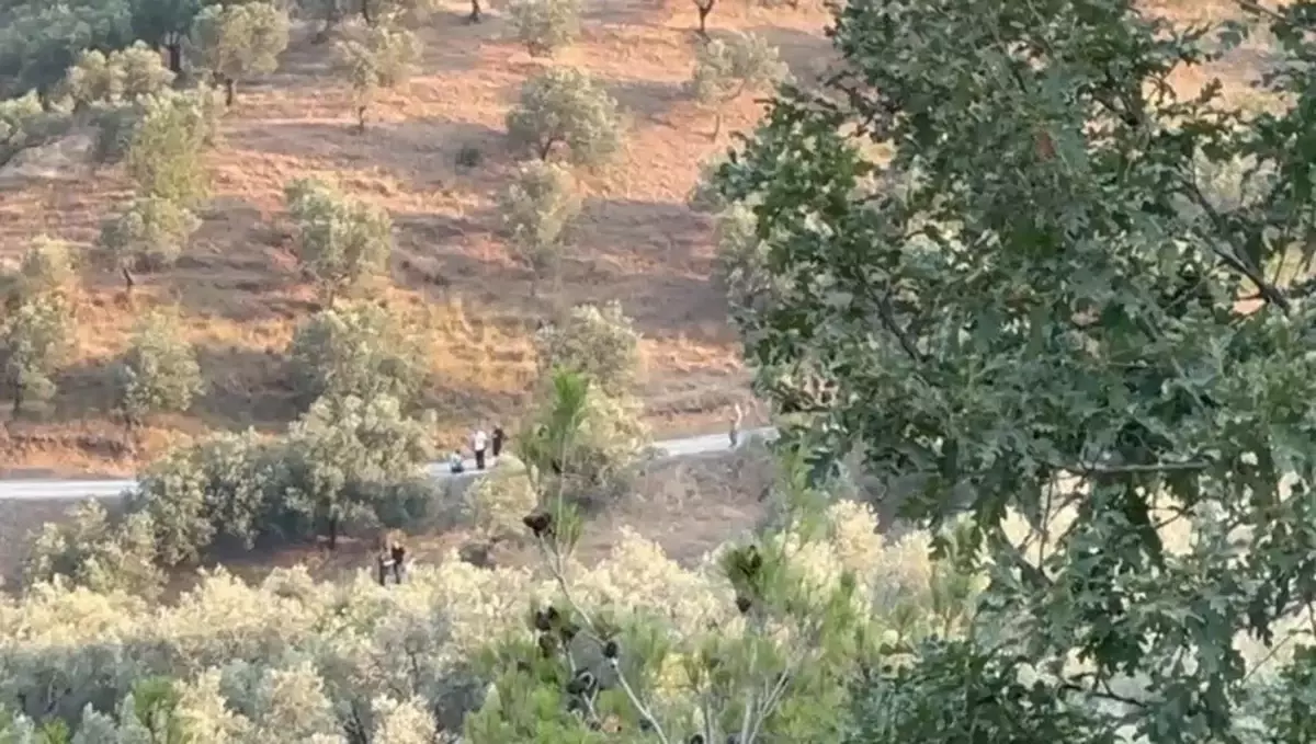 İBB Başkanı Ekrem İmamoğlu'nun Babasına Ait Arazide Jandarma Araması