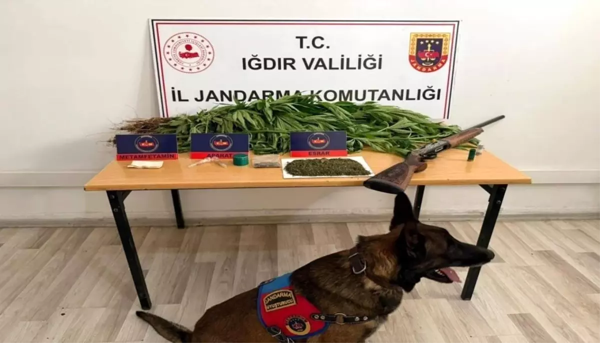 Iğdır'da Uyuşturucu Operasyonu: 1 Tutuklama