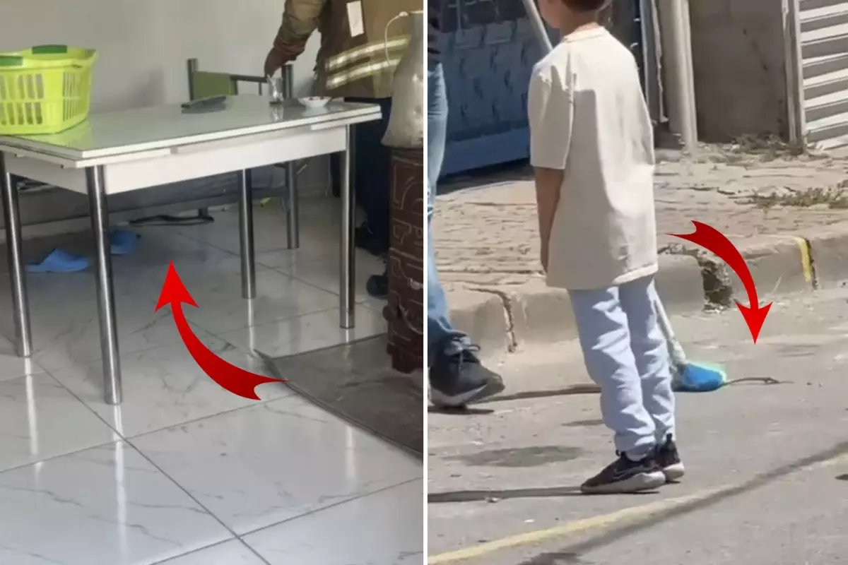 İstanbul'da 7 ilçede yılan görüldü, vatandaşlar tedirgin