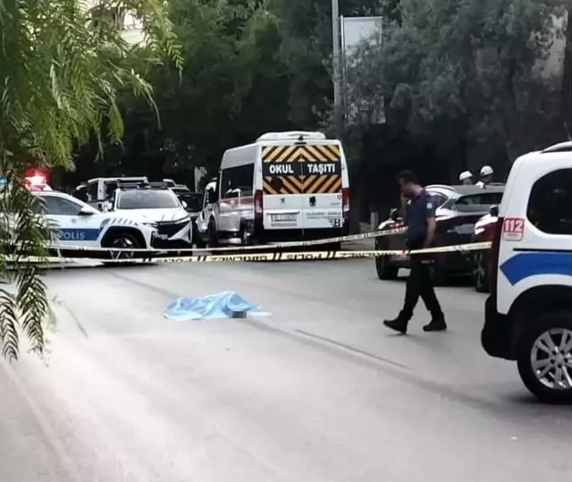 Two cars passed over the woman lying on the road