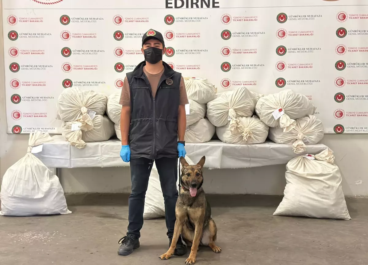 Kapıkule Sınır Kapısı'nda 212 Kilo Esrar Ele Geçirildi