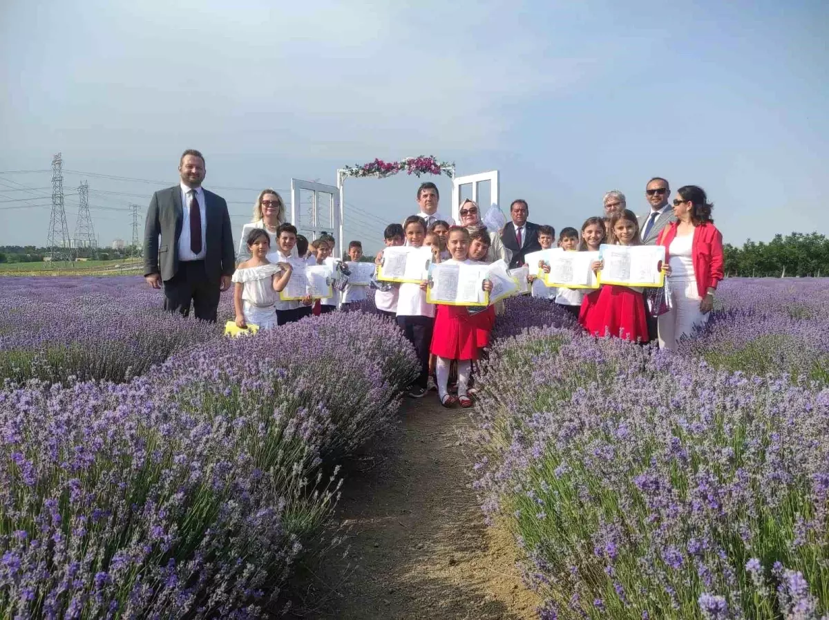 Tekirdağ'da Karneler Lavanta Tarlasında Verildi