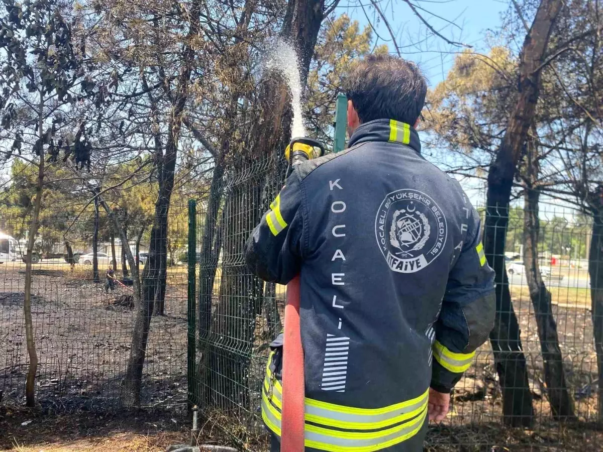 Kocaeli'nde Ağaçlık Alanda Yangın: 4 Kişi Dumandan Etkilendi