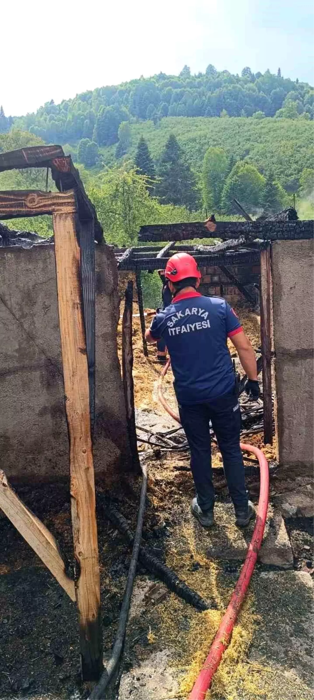 Akyazı'da Samanlık Yangını: 24 Civciv Telef Oldu