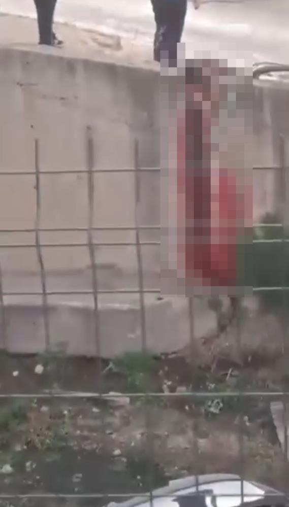 The 13-year-old boy tragically lost his life! Blood painted the wall red