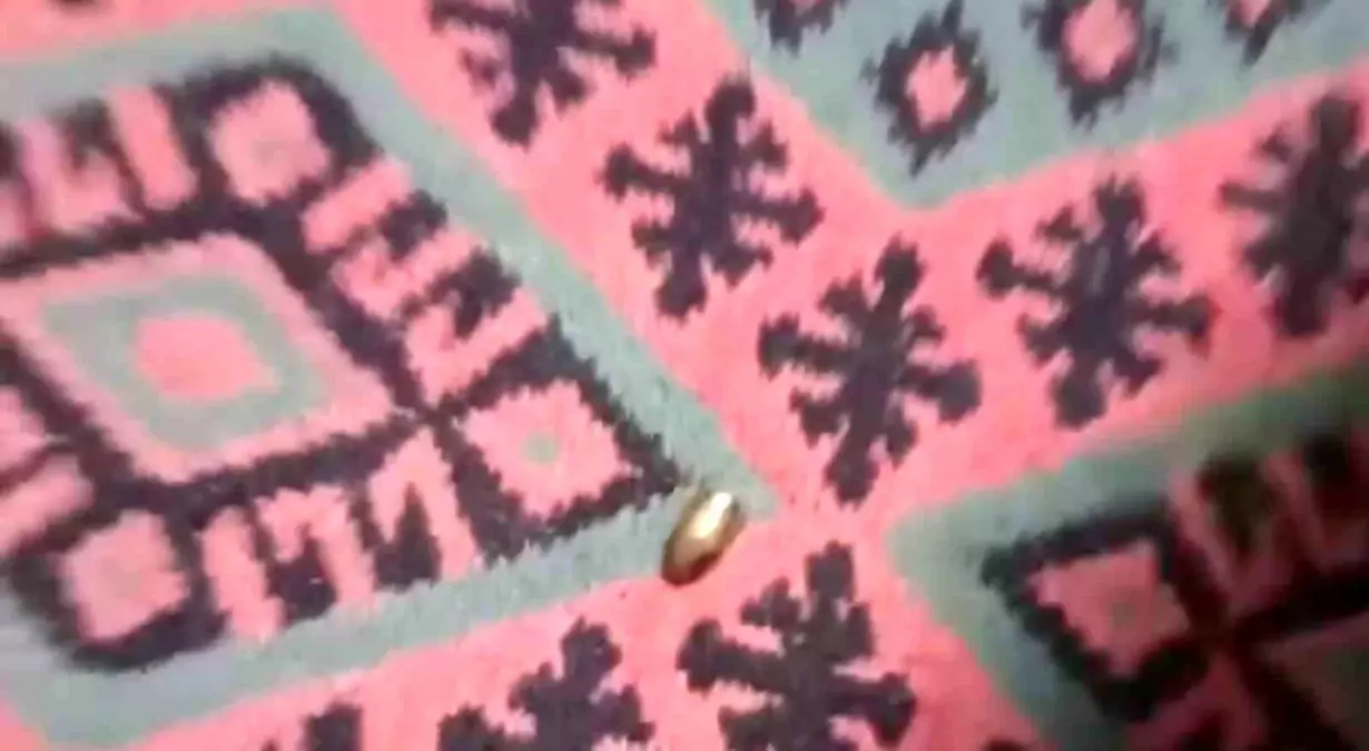 Adana'da Çardaklarına Yorgun Mermi Düşen Aile Panik Yaşadı