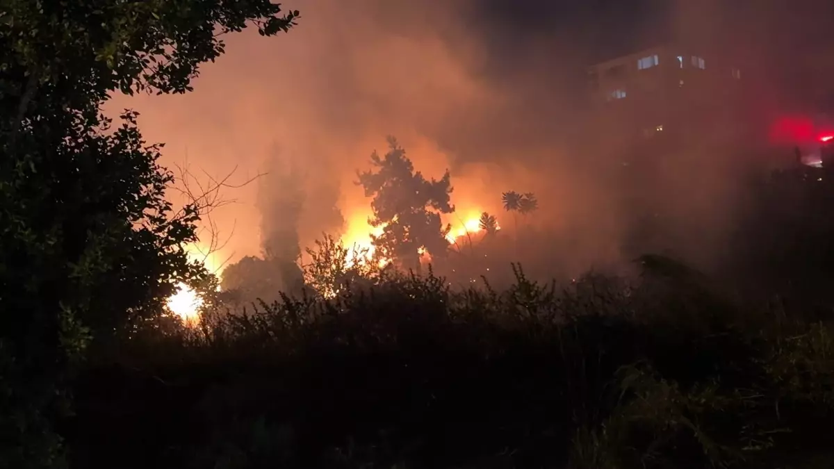 Düğün Sonrası Havai Fişekler Yangın Çıkardı