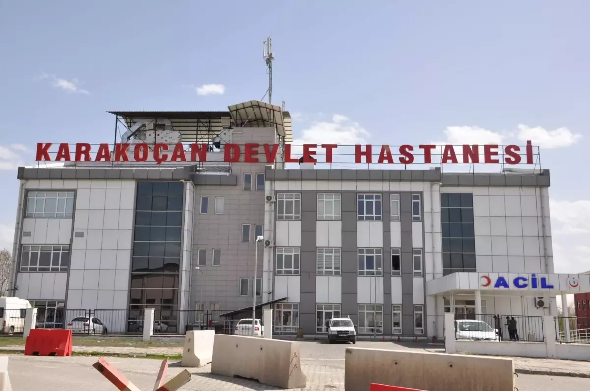 Kenenin Isırdığı Kadın Hastaneye Kaldırıldı